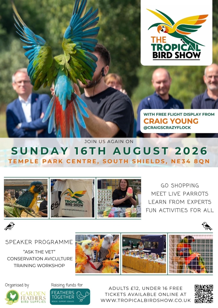 The Tropical Bird Show at Temple Park Centre