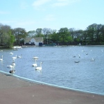 The Boating Lake At South Marine Park South Tyneside
